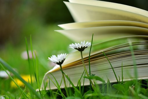 Livres-photo