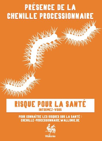 Chenille affiche
