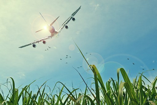Avion-1
