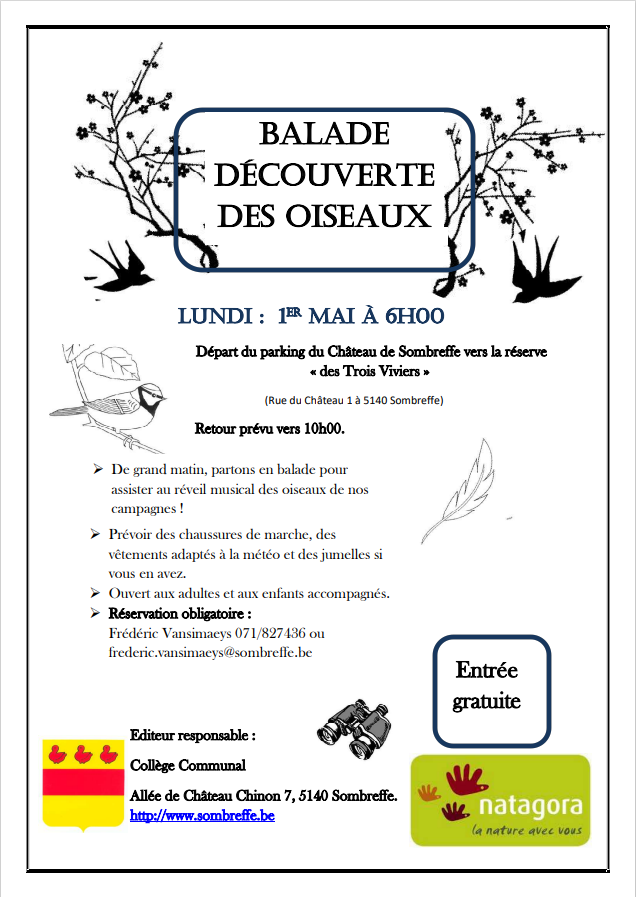Balade oiseaux