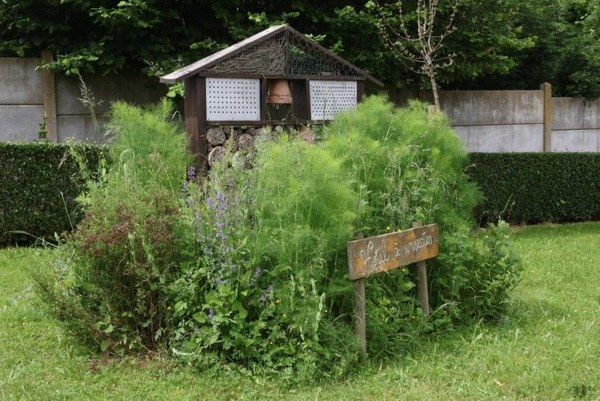 Pollinisateurs