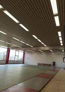 Salle tatamis CSS
