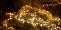  Illumination 56 