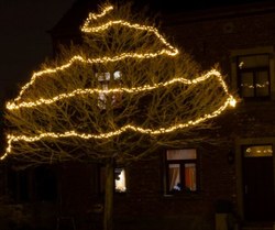  Illumination 77 