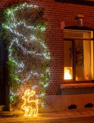  Illumination 84 