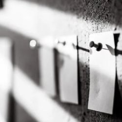 Illustration de l'actualité - cliquer pour agrandir